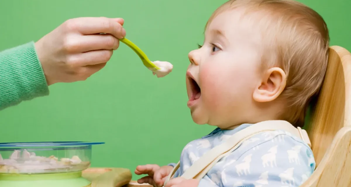 Purés para bebés