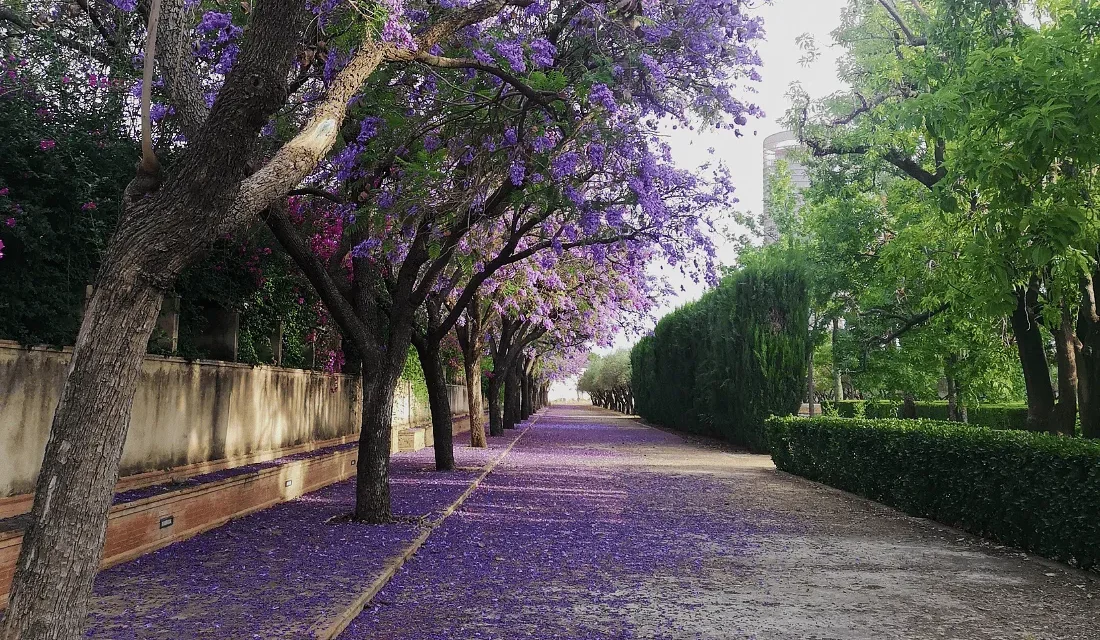 Parques de Sevilla para disfrutar con niños