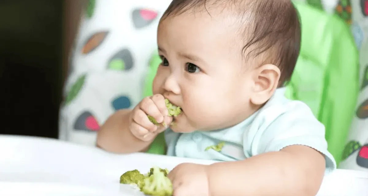 ¿Qué es el Baby Led Weaning (BLW)?