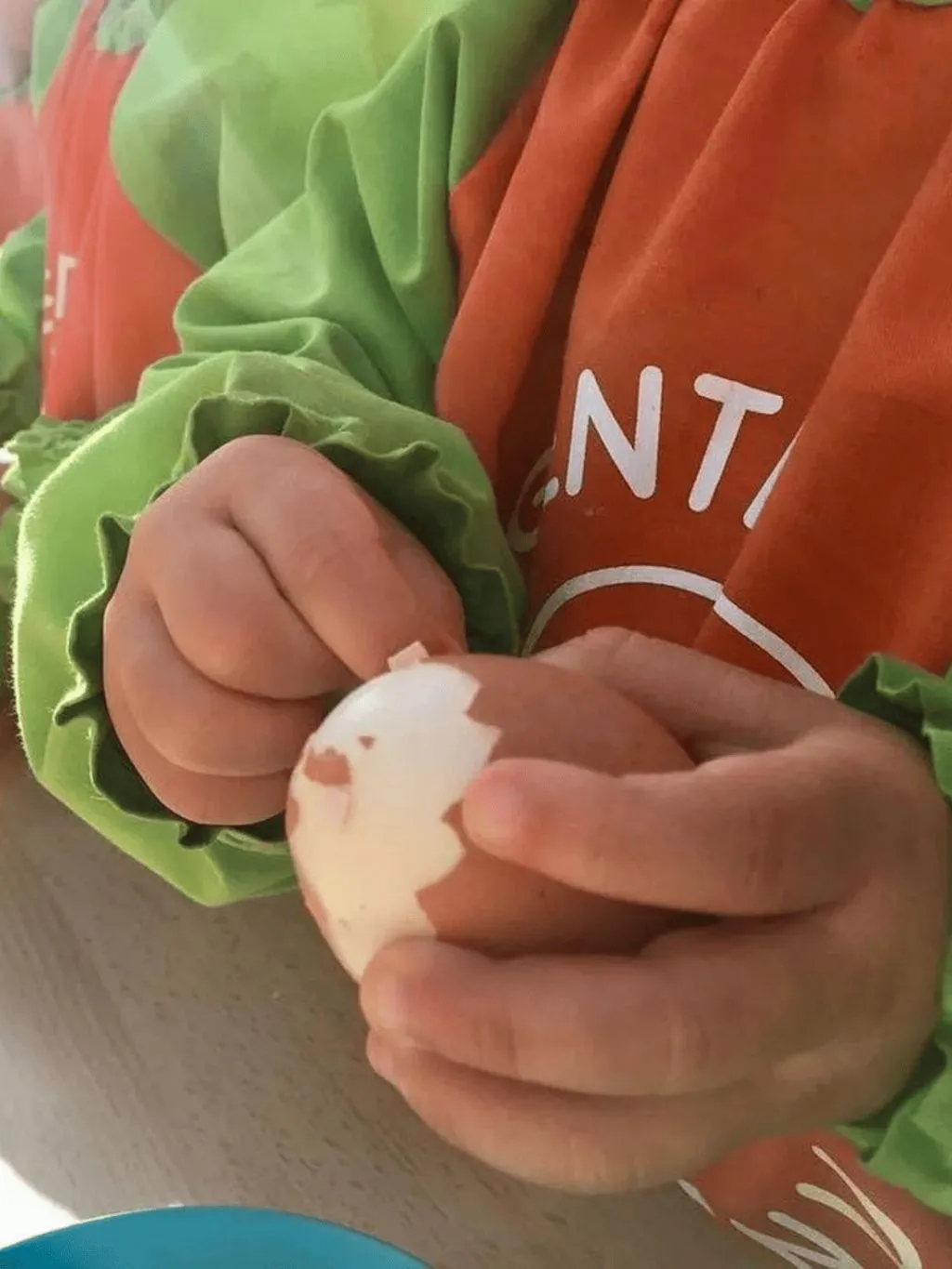 niño huevo alimentacion saludable