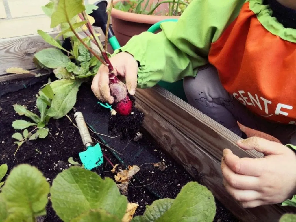 niño_plantando_huerto