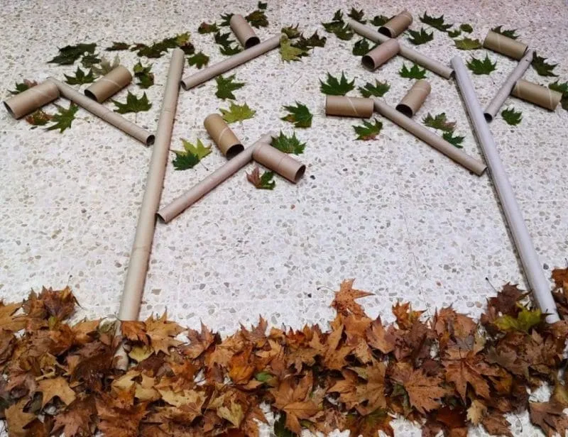 taller arboles otoño