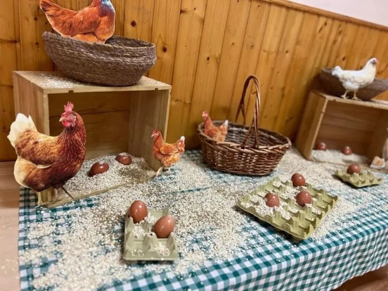 taller gallinas-huevos