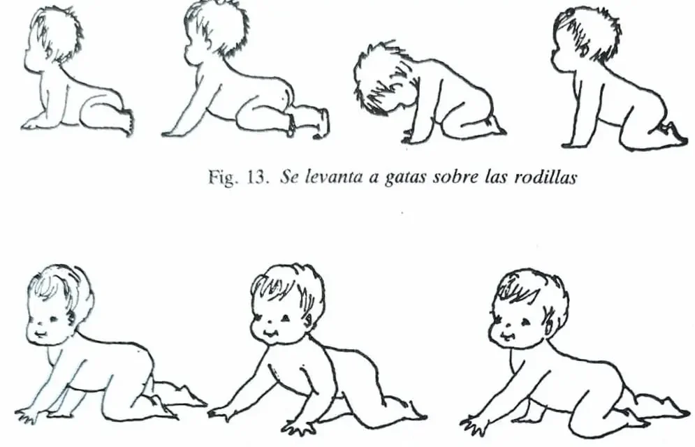 Pedagogía Pikler y sus principios