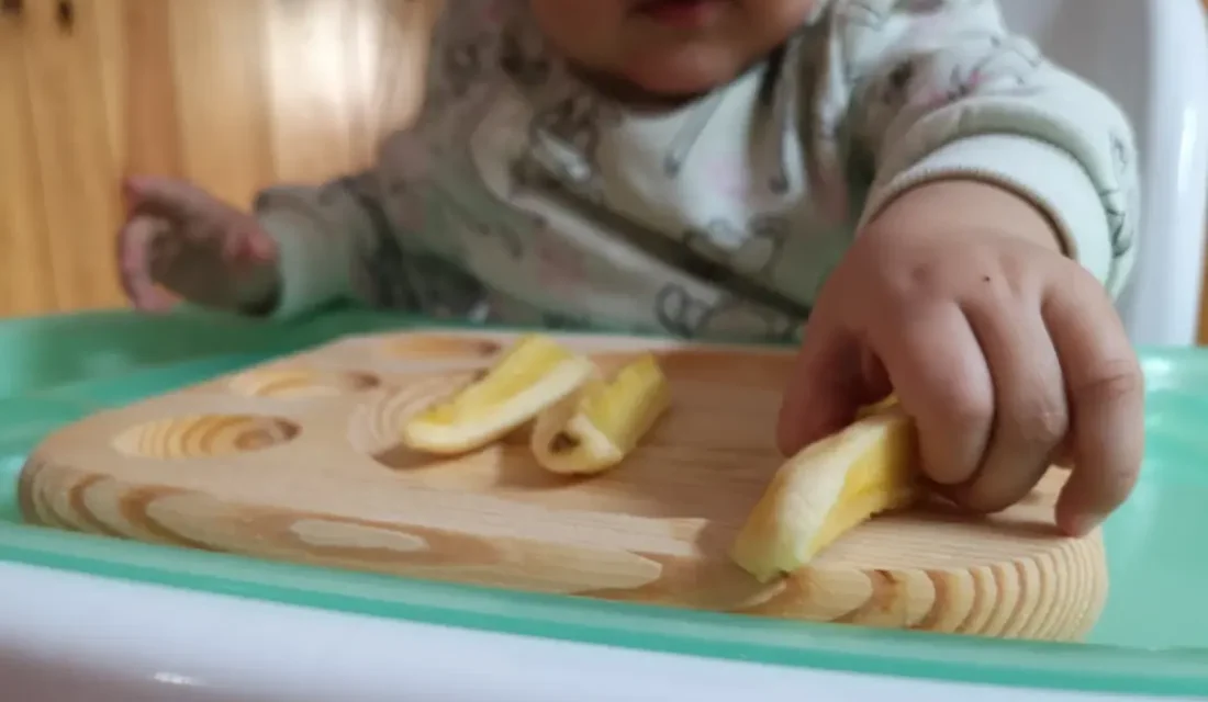 10 Preguntas sobre Baby Led Weaning (BLW)