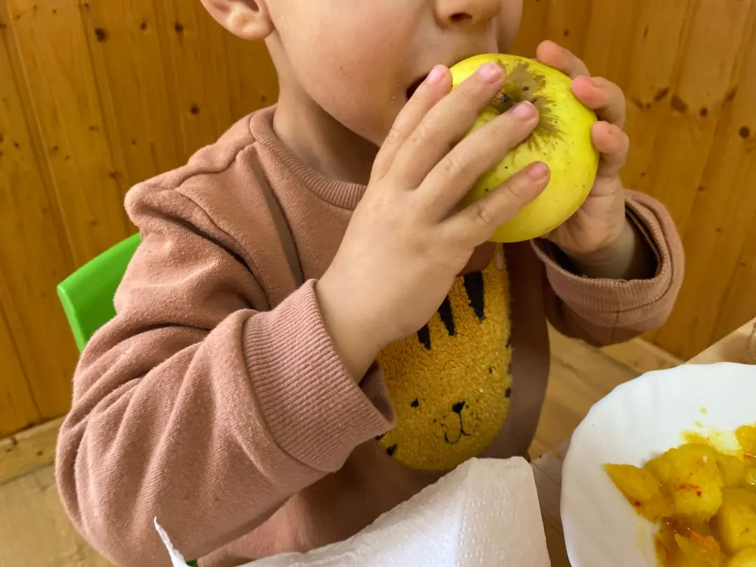 comida saludable